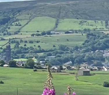Belthorn House | The View
