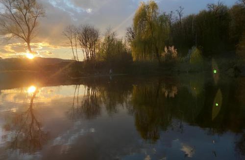 Pausesti-Maglasi Villa | The Weeping Willow Retreat - Luca