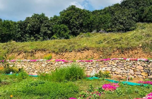 Nurpur House | The Wild Wild