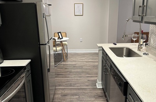 Braeswood Place Apartment | theme Paris Apartment /Midtown great Location !/Minutes from NRG Stadium/