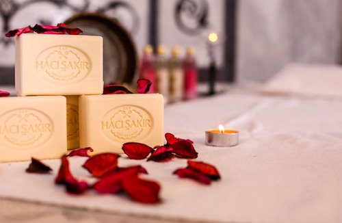 Gokcedere Hotel | Thermal Saray Hotel & Spa Yalova