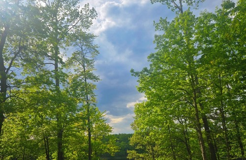 Spooner House | Think Spring! Book now for fishing, campfires and boating on Mystery Lake!