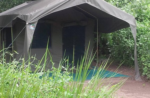 Moremi Other | Third Bridge Mobile Camp