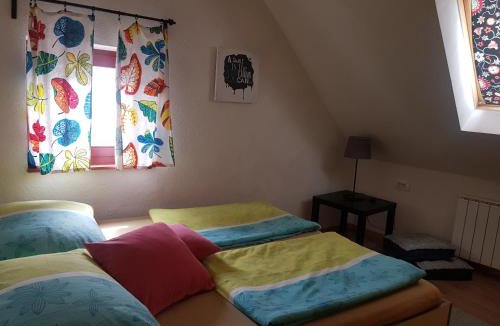 Bovec Hostel | Thirsty River Rooms