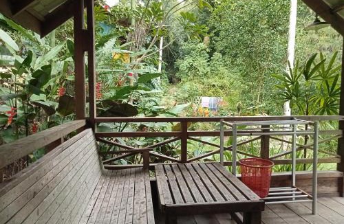 Ketambe Bed & Breakfast | Thousand hills peaceful bungalows and expert jungle treks