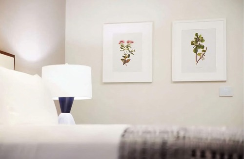 Kaanapali Hotel | Three Beautiful Units, Near Haleakala Ecotours, Perfect for A Tropical Getaway