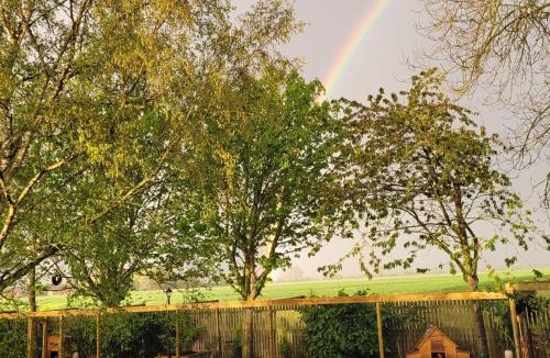 Kilnwick Bed & Breakfast | Three Farthings