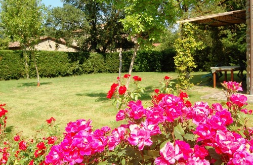 Bucine Apartment | Three-room apartment on the outskirts of Chianti