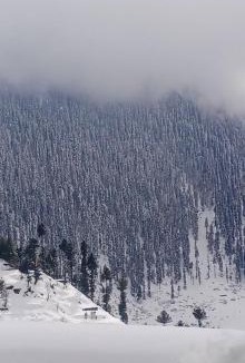 Malam Jabba Hotel | Three Star Hotel & Restaurent Malam jabba swat