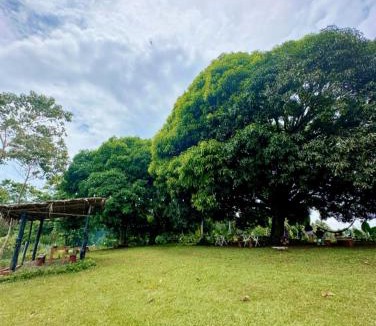 Libona Resort | Thrill Playgrounds & Tipi Cafe