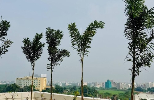 Tirupati Apartment | THS Suites
