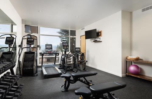 Snowmass Village House | Timberline Condominiums Studio Deluxe Unit 215