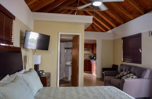 Roseau Apartment | Timbos Suites