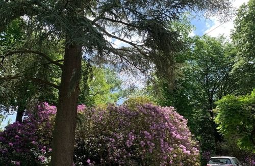 Overijse Villa | Timeless Villa with Grand Garden near Brussels