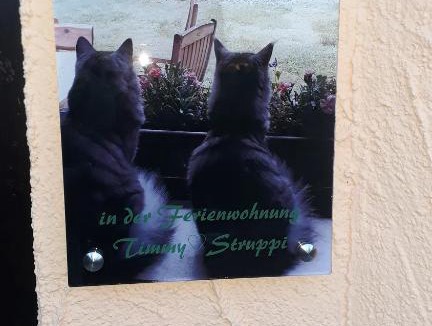Wadern Apartment | Timmy&Struppi Ferienwohnung im Schwarzwälder Hochwald Saarland- Wadern- Noswendel