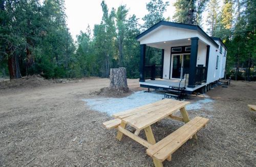 Groveland Resort | Tiny Blanca at Yosemite Gateway