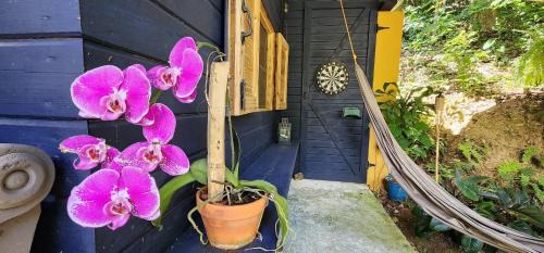 Cidra House | Tiny Cozy Mountain Cabin Peaceful Retreat in Cayey