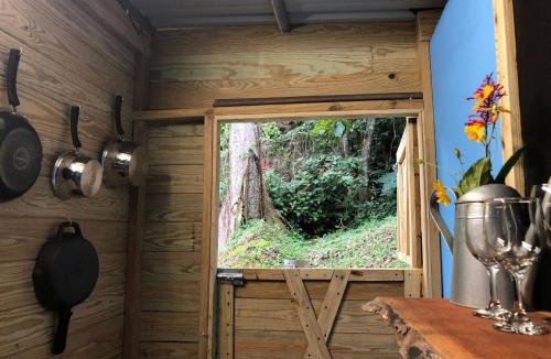 Cidra House | Tiny Cozy Mountain Cabin Peaceful Retreat in Cayey