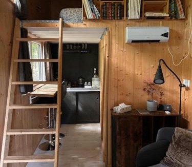 Lorcy Other | Tiny de Paula