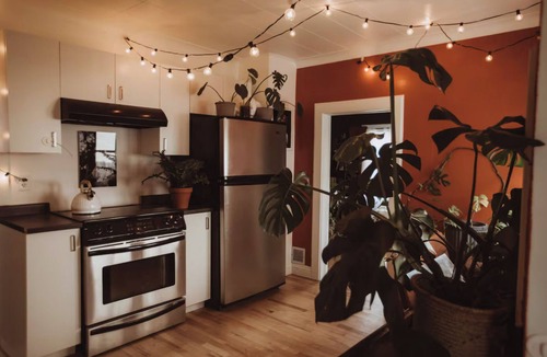 North End House | Tiny Downtown Jungle- 5 min drive to the lake