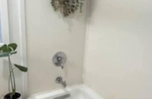 East New York House | TINY FULL Bdrm/Bthrm PRIVATE DRIVEWAY in BROOKLYN