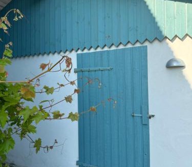 Vestenskov Apartment | Tiny Guesthouse