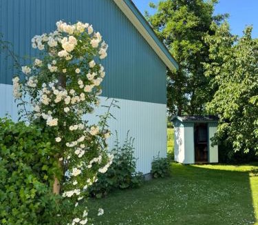 Vestenskov Apartment | Tiny Guesthouse