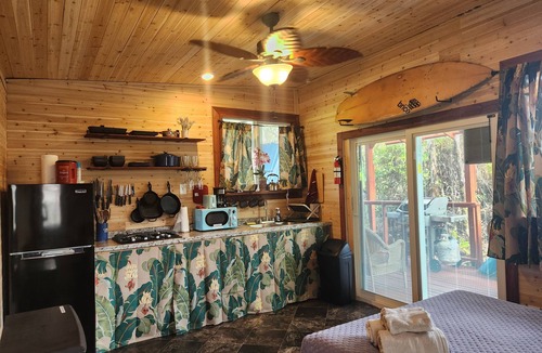 Fern Forest Cabin | tiny home 6 w/private hot tub surrounded by nature near Volcano National Park