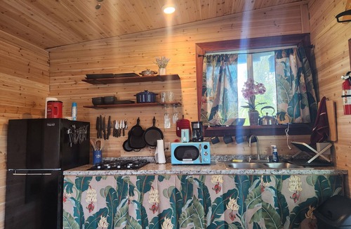 Fern Forest Cabin | tiny home 6 w/private hot tub surrounded by nature near Volcano National Park