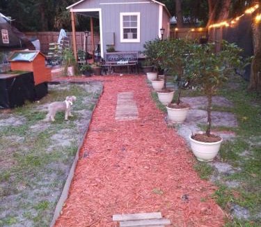 Southwest Orlando House | Tiny home barn style in backyard with Animals