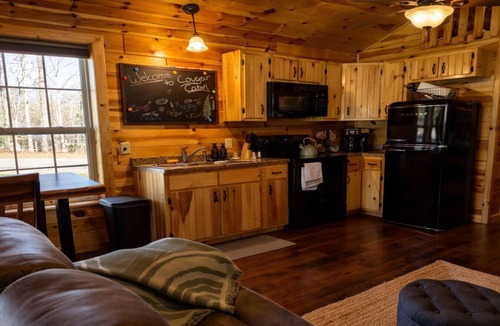 Jamestown Cabin | Tiny Home Escape: Hot Tub, Private Deck & Outdoor TV