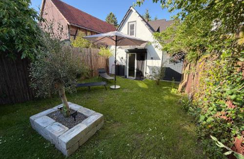 Borken House | Tiny House am See Dillich - Schwimmteich - Klimaanlage - Hunde willkommen - Eigener Garten