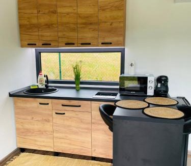 Borod House | Tiny House by the forest “2”