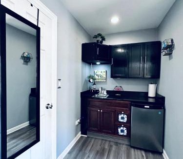 Heart of Chicago Apartment | Tiny House - Chicago Pilsen Neighborhood