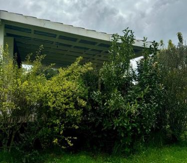 Lago Ranco Apartment | Tiny House con Tinaja Adicional