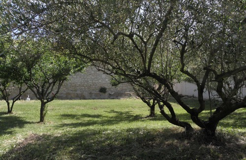 Barbentane Ski Chalet | Tiny-House for rent in Provence, your unusual holidays .