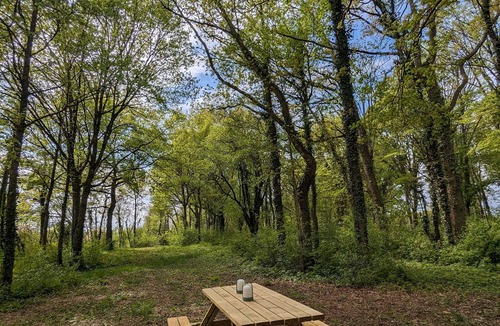 Sonchamp Cabin | Tiny House La Clairière Au Cœur de la Forêt !