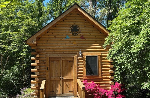 Lake Barcroft Cabin | Tiny House/Log Cabin in beautiful wooded urban setting