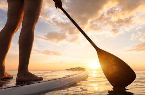 Mayfield House | Tiny Loft-Spider Lake-SUP Rentals-Beach-10mi to TC