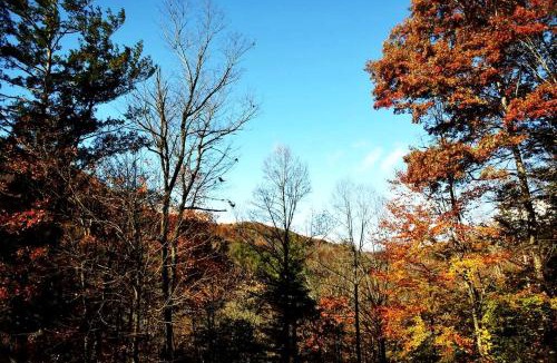 Todd House | Tiny Luxury Getaway: Cabin in Todd, North Carolina with Hot Tub, Scenic Views, and Lounge Perfection