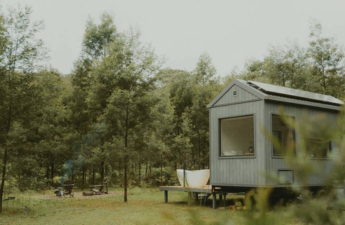 Markwell Cabin | Tiny Madeline - Laguna