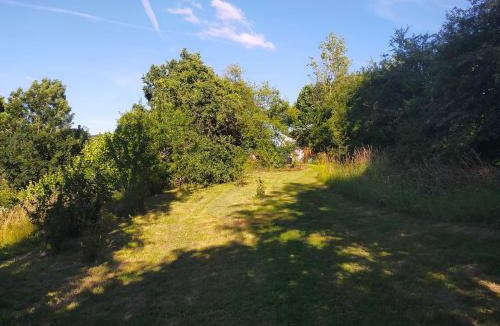 Messancy House | Tiny Messancy, une immersion dans la nature !