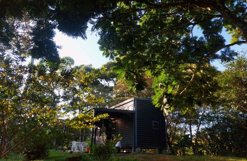 La Palmeria Apartment | Tiny Private Oasis: Nature, Comfort, and Access to Costa Rica's Top Attractions
