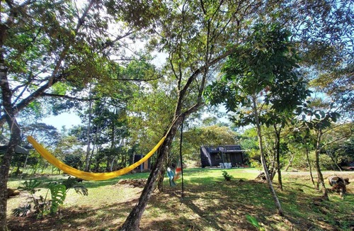 La Palmeria Apartment | Tiny Private Oasis: Nature, Comfort, and Access to Costa Rica's Top Attractions