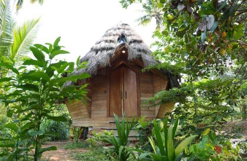 Chirayinkil Resort | Tiny Temple Ayurvedic Retreat Center
