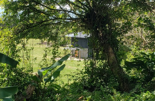 San Jeronimo Cabin | Tinyhouse en el Bosque