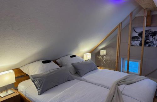 Schmieh Villa | TinyLoft
