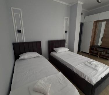 Tismana Apartment | TisArt Accomodation