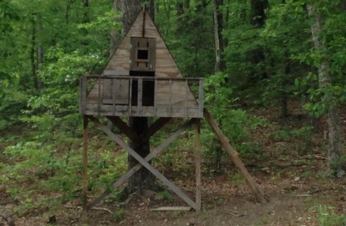 Spencer Cabin | TN STATE PARKS ARE OPEN!!!Sun, fresh air, Waterfalls, hiking and firepit nights!