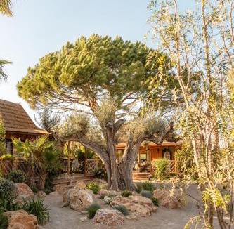 Cote d'Azur- French Riviera Resort | Toison D'or